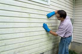 Affordable Siding Repair and Maintenance Services in Dresden, TN